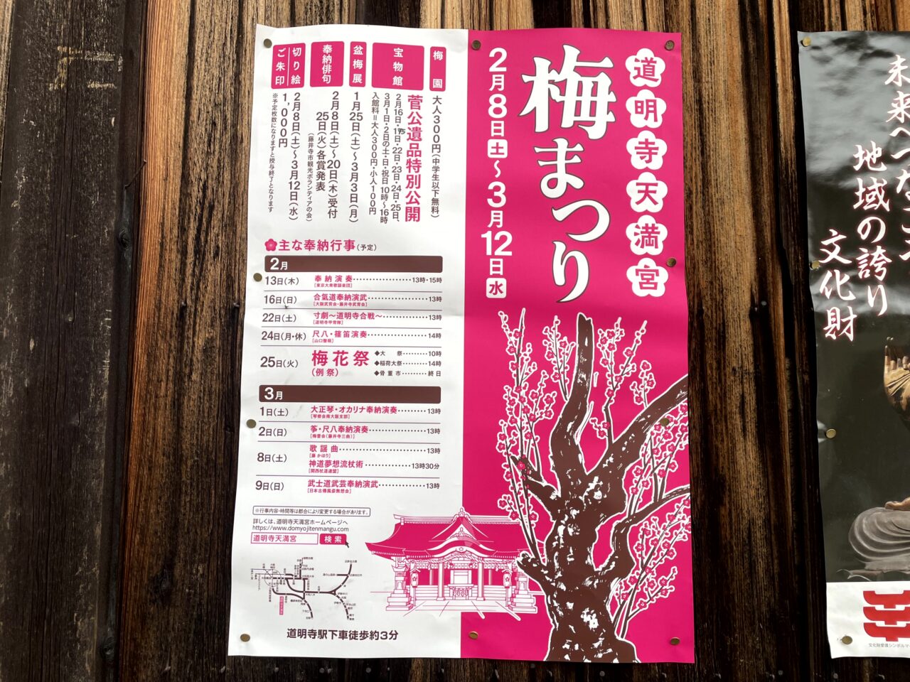 梅まつり