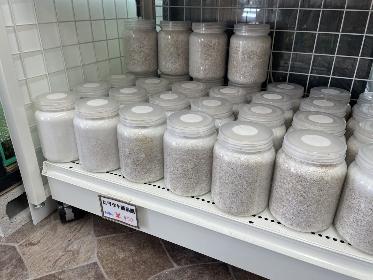 菌糸ビン