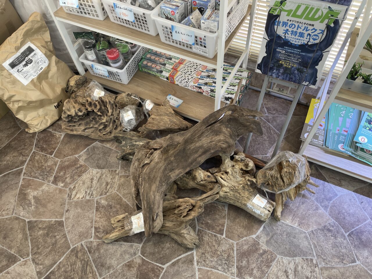 流木